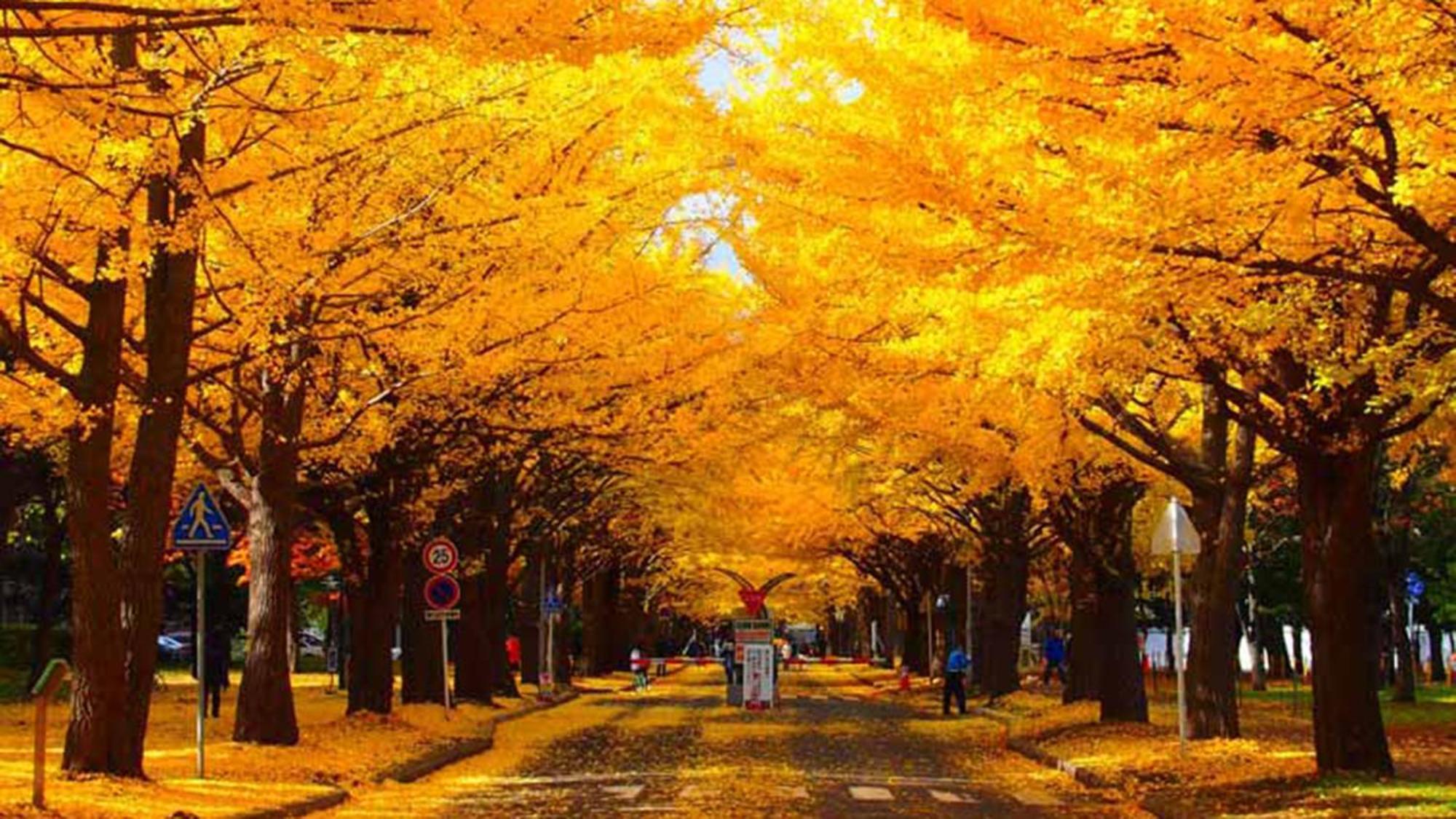Toyoko Inn Hokkaido Sapporo-Eki Nishi-Guchi Hokudai Mae Exteriör bild